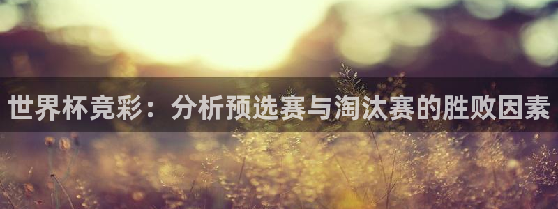 2026男足世界杯赛程：世界杯竞彩：分析预选赛与淘汰赛的胜败因素