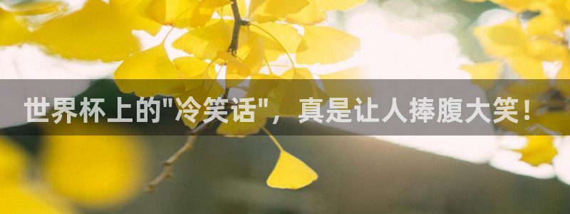 2026世界杯官网入口：世界杯上的\