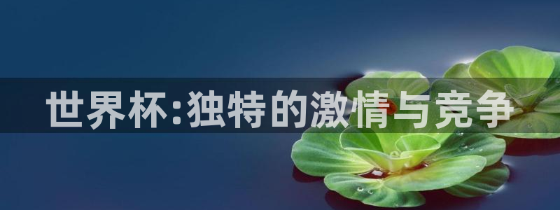 世界杯今年：世界杯:独特的激情与竞争