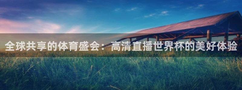 世界杯球赛：全球共享的体育盛会：高清直播世界杯的美好体验