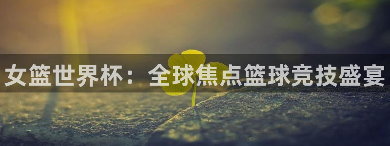 世界杯官网入口：女篮世界杯：全球焦点篮球竞技盛宴