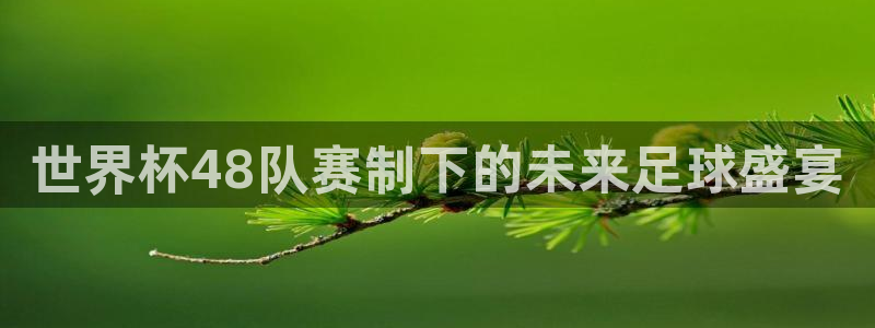澳门世界杯直播：世界杯48队赛制下的未来足球盛宴