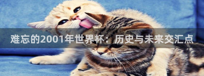 2026足球世界杯赛程时间表：难忘的2001年世界杯：历史与未来交汇点