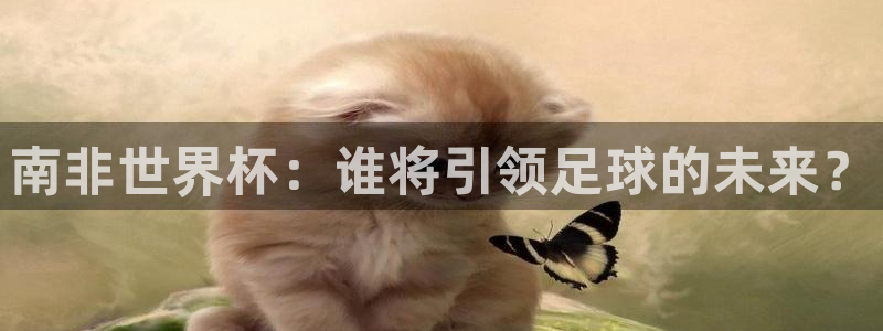 欧洲世界杯预选赛：南非世界杯：谁将引领足球的未来？