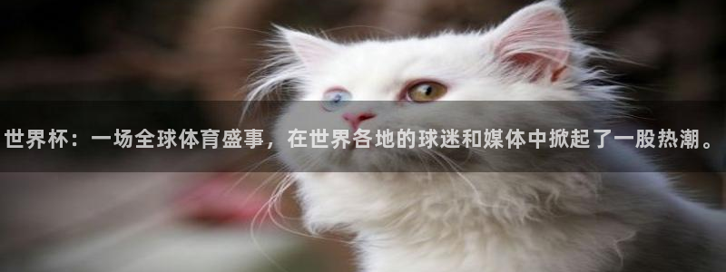 足球世界杯预选赛：世界杯：一场全球体育盛事，在世界各地的球迷和媒体中掀起了一股热潮。