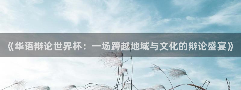 2026男足世界杯赛程：《华语辩论世界杯：一场跨越地域与文化的辩论盛宴》