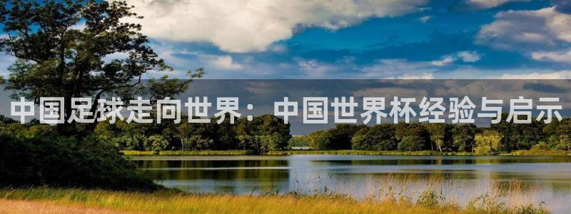 世界杯对阵图2026：中国足球走向世界：中国世界杯经验与启示