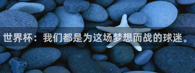 欧洲区世界杯预选赛：世界杯：我们都是为这场梦想而战的球迷。