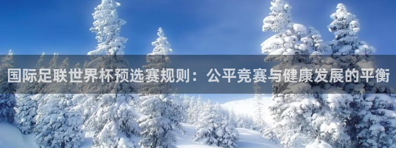 世界杯球队：国际足联世界杯预选赛规则：公平竞赛与健康发展的平衡