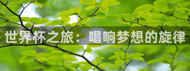 英格兰联赛杯直播：世界杯之旅：唱响梦想的旋律