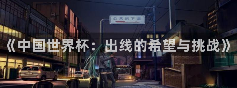 2026年世界杯直播平台：《中国世界杯：出线的希望与挑战》