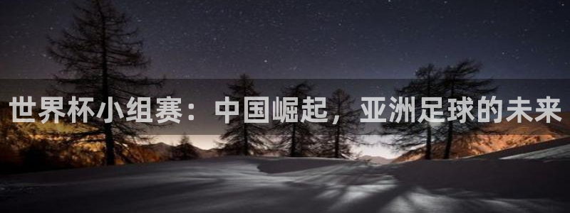 2026世界杯亚洲区预选赛：世界杯小组赛：中国崛起，亚洲足球的未来