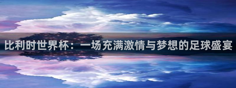 2006年世界杯冠军：比利时世界杯：一场充满激情与梦想的足球盛宴